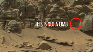 NASA Totally Found an Alien Crab on Mars and Didn't Tell Anybody